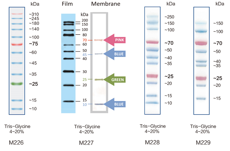 22121205.png 22121205.png