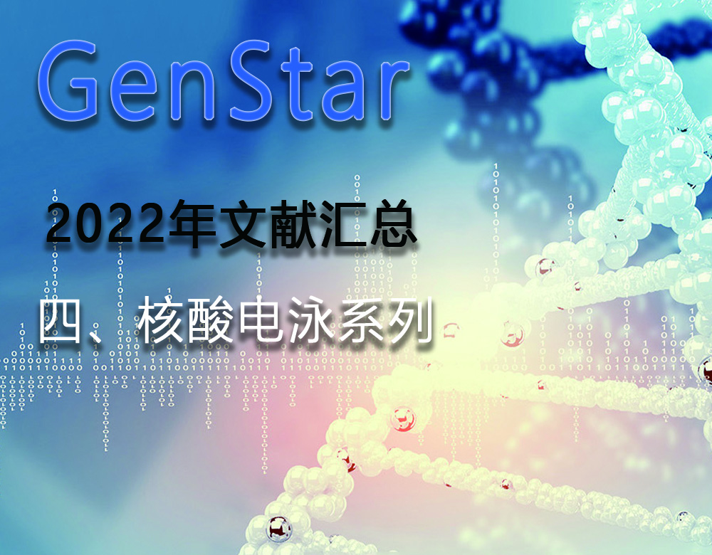 GenStar 2022年文獻(xiàn)匯總（四、核酸電泳系列）